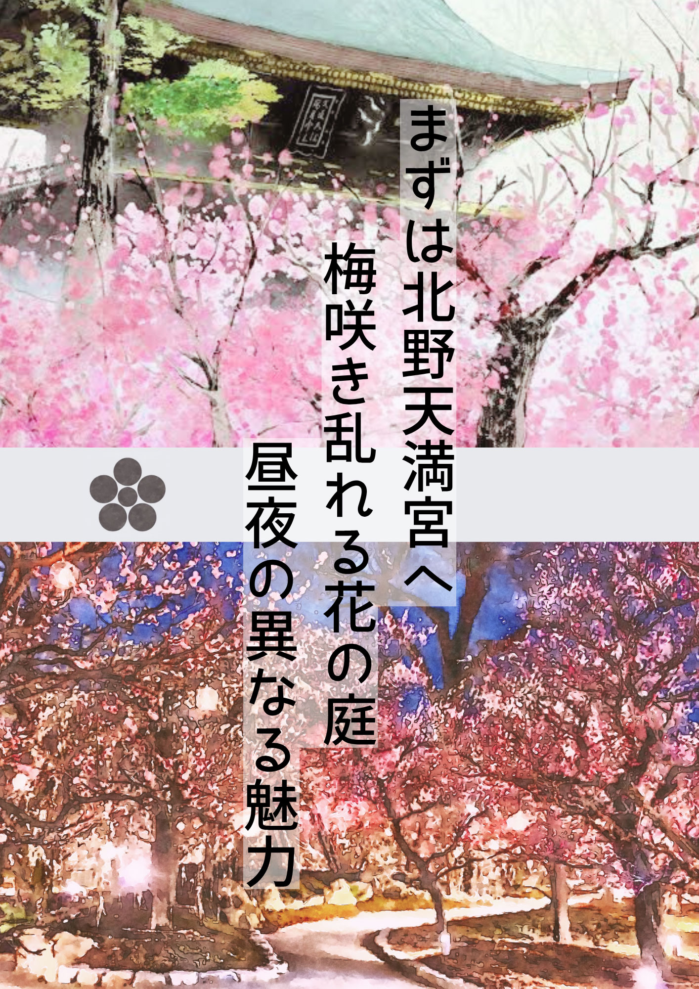 ツーリズム体験2025年2月3月